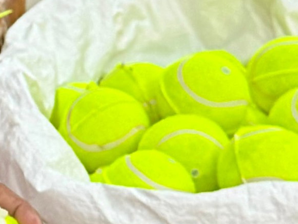 Bag of finished cricket tennis balls